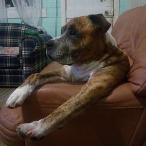 Meet your Posher, Carissa